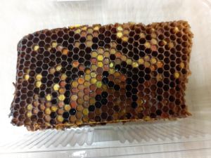 Перга в пчелна пита 164 g
